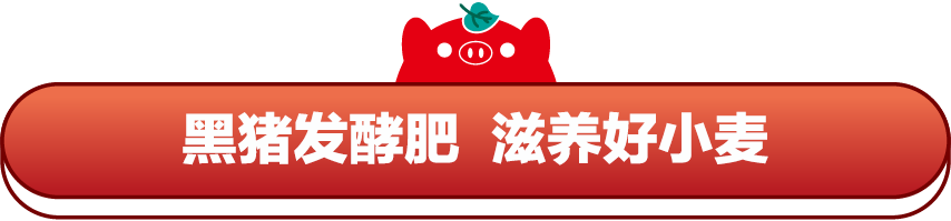 MU:网站文件：20220406110550780738.png；原始文件：公众号标题框1.png