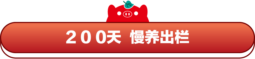 公众号标题框5.png