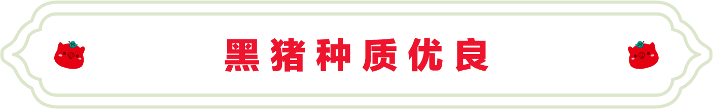 SS:网站文件：20220706102430637061.png；原始文件：11.png