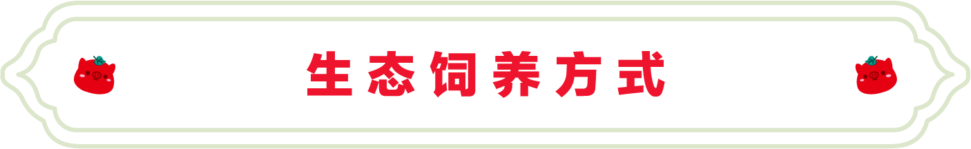 SS:网站文件：20220706102518777178.png；原始文件：13.png