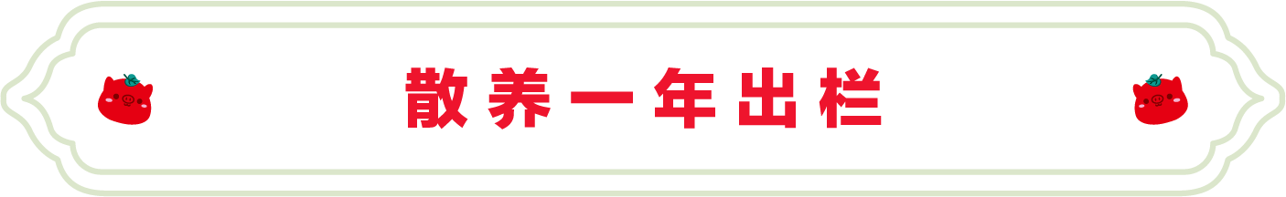 SS:网站文件：20220706102539838196.png；原始文件：14.png