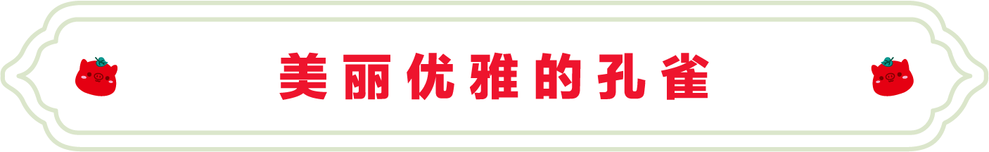 SS:网站文件：20220811155851394407.png；原始文件：12.png