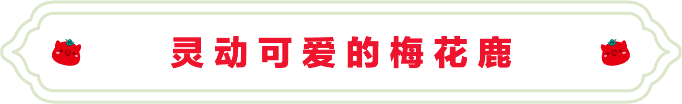 SS:网站文件：20220811155917284798.png；原始文件：11.png