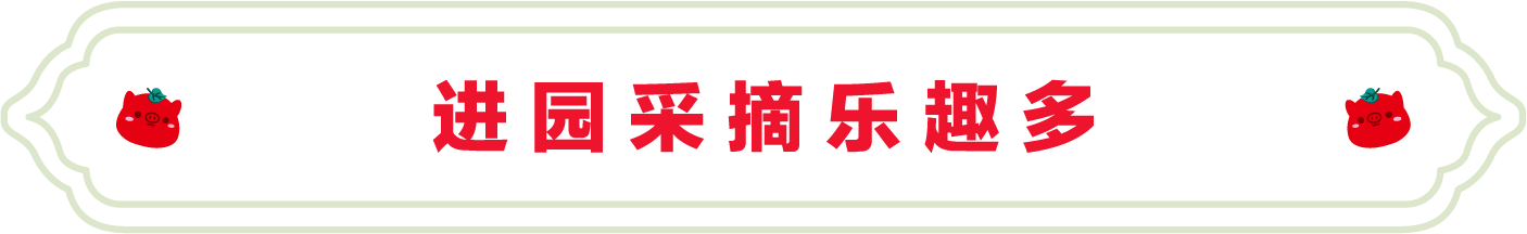 SS:网站文件：20230704110235551265.png；原始文件：3.png