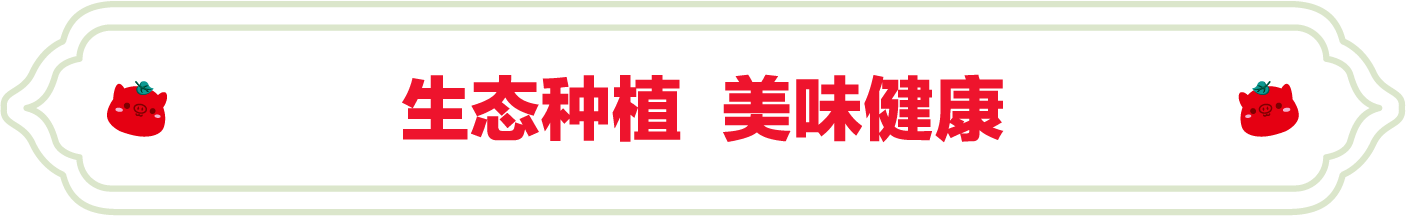 SS:网站文件：20231024101913799076.png；原始文件：1.png