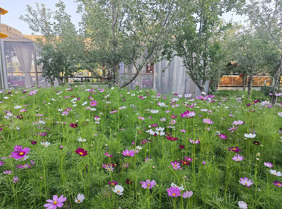 SS:网站文件：20250708142139180388.png；原始文件：640.webp (2).png