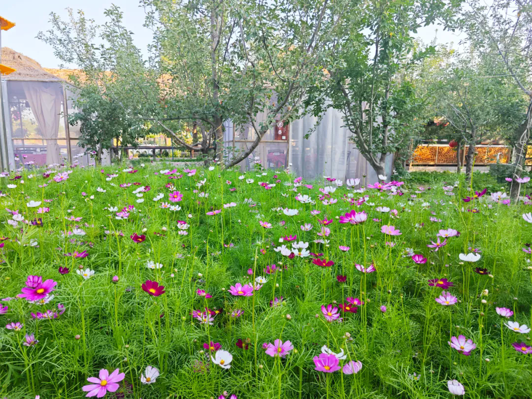 SS:网站文件：20250901143609685166.png；原始文件：640.webp (4).png