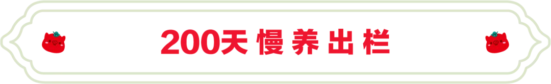 SS:网站文件：20251030113307962961.png；原始文件：640.webp (5).png